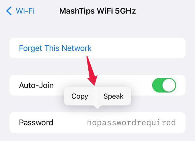 How to View Saved WiFi Passwords on iPhone - 34