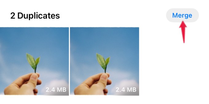 merge one duplicate photo iphone