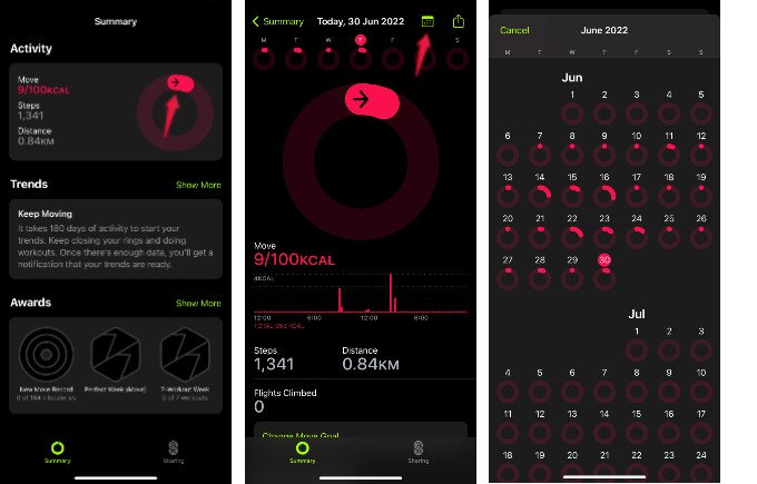 Apple Fitness App is Now Available for iPhone Users Without Apple Watch - 18