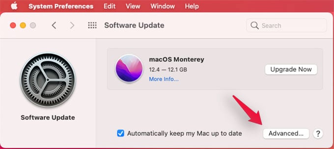 Advanced Update Settings on Mac