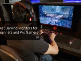 Best Gaming Monitors for Beginners and Pro Gamers
