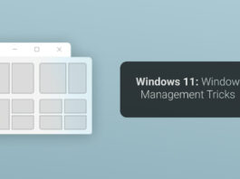 Windows 11: Window Management Tricks
