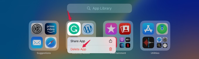 How to Share Safari Extensions Between iPhone and iPad - 42