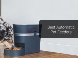 9 Best Automatic Pet Feeders for Your Dogs and Cats