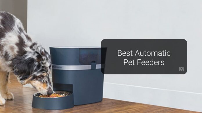 9 Best Automatic Pet Feeders for Your Dogs and Cats