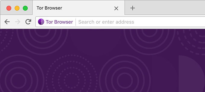 7 Best Web Browsers for Windows 11 PC Users - 8