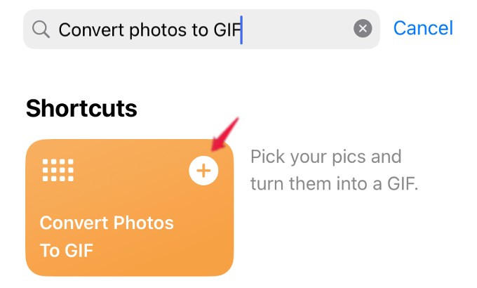 How to Convert Live Photo to GIF on iPhone - 91