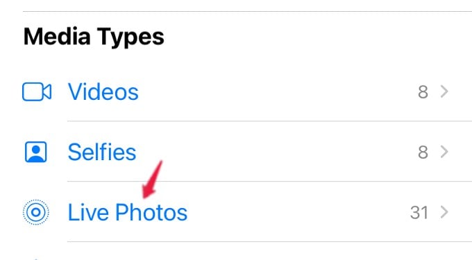 How to Convert Live Photo to GIF on iPhone - 61