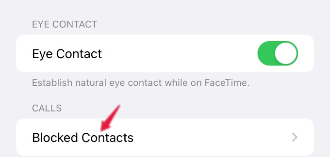 List of Blocked Contacts FaceTime iPhone