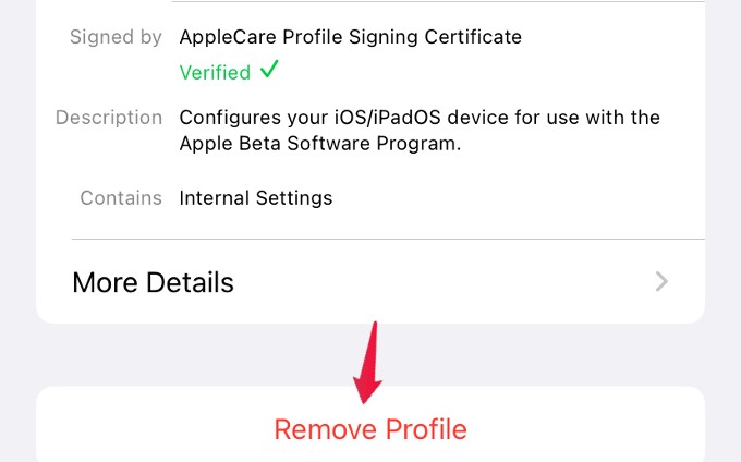 How to Fix Unable to Check for Update Error on iPhone - 43