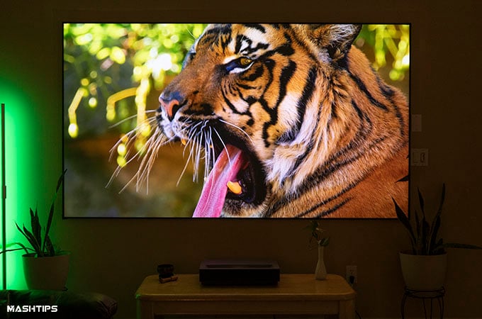 Wemax Nova 4K Laser Projector Picture Quality Front Tiger