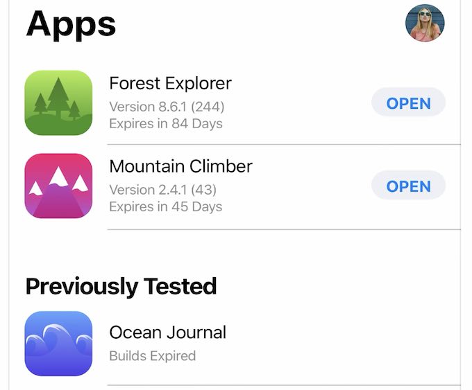 Apple TestFlight App