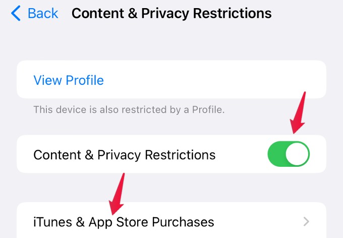 Content Privacy Restrictions Menu iPhone