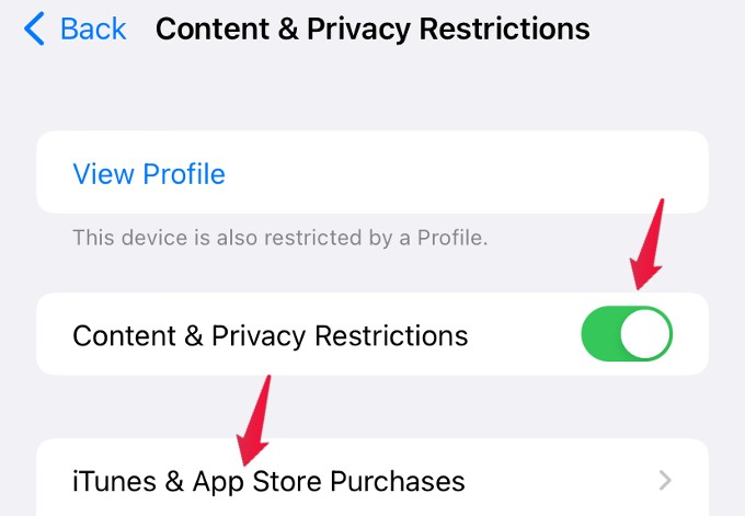 How to Avoid Accidental Deletion of Apps on iPhone iPad - 44