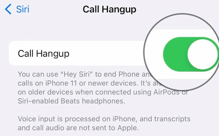 iPhone Setting Call Hangup