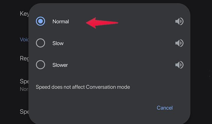 Audio Playback Speed Settings