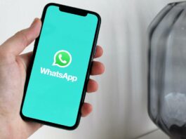 Quickly Search WhatsApp Messages