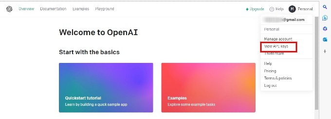 View API Keys Open AI Website