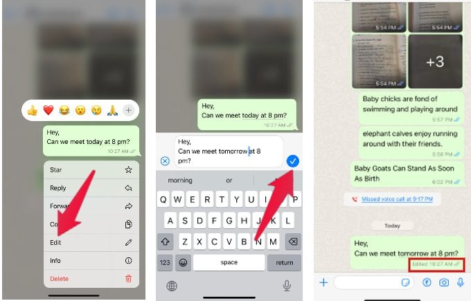 Edit Sent Messages WhatsApp iPhone