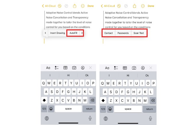 Autofill Feature Notes App iPhone