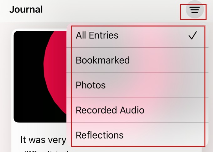 Filter Journal Entries Journal App iPhone